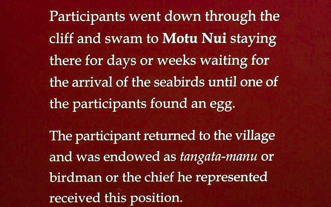 Manutara (Sooty Tern) Competition Notes – Orongo Easter Island (Rapa Nui)